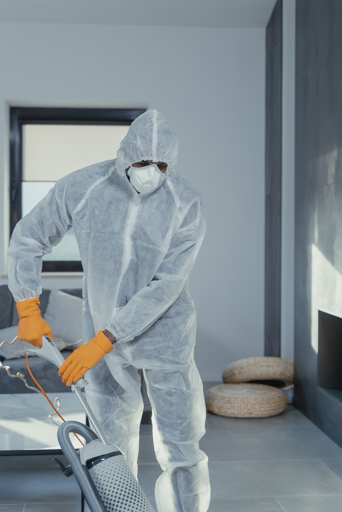 Professional cleaning team cleaning a bright living space